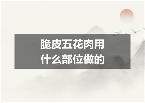 脆皮五花肉用什么部位做的