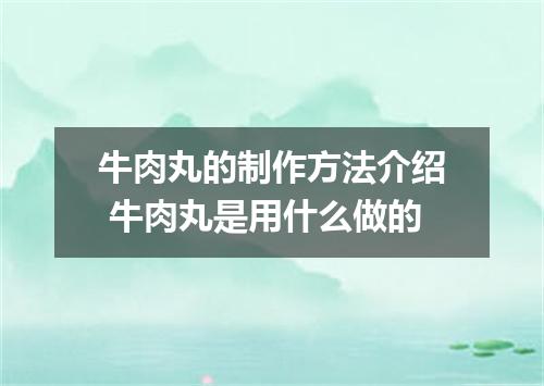 牛肉丸的制作方法介绍 牛肉丸是用什么做的