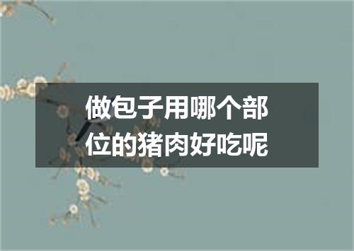 做包子用哪个部位的猪肉好吃呢