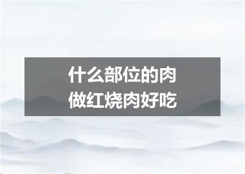 什么部位的肉做红烧肉好吃