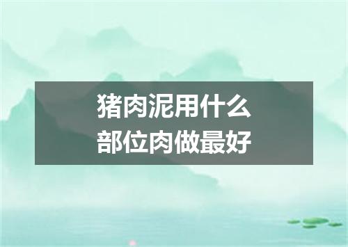 猪肉泥用什么部位肉做最好
