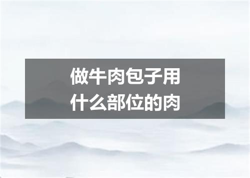 做牛肉包子用什么部位的肉