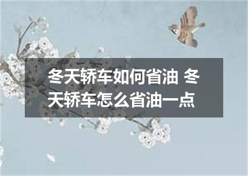 冬天轿车如何省油 冬天轿车怎么省油一点