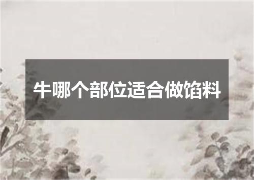 牛哪个部位适合做馅料