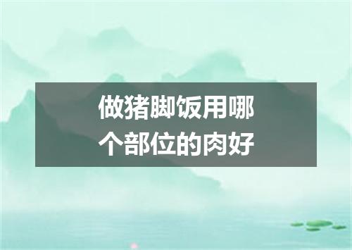 做猪脚饭用哪个部位的肉好