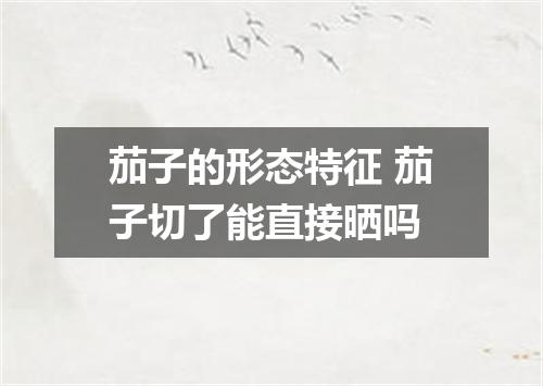 茄子的形态特征 茄子切了能直接晒吗