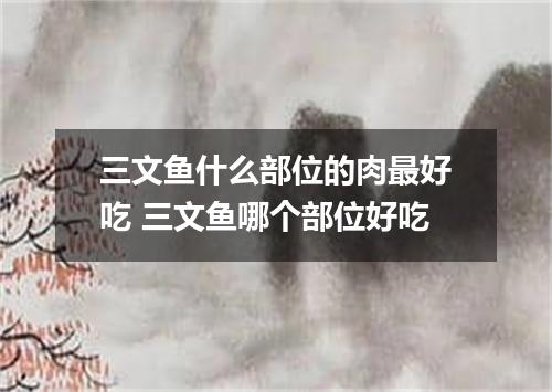 三文鱼什么部位的肉最好吃 三文鱼哪个部位好吃