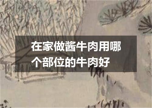 在家做酱牛肉用哪个部位的牛肉好
