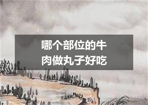 哪个部位的牛肉做丸子好吃