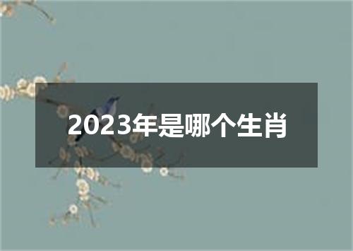 2023年是哪个生肖