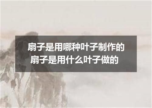 扇子是用哪种叶子制作的 扇子是用什么叶子做的