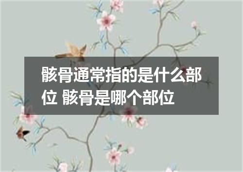骸骨通常指的是什么部位 骸骨是哪个部位