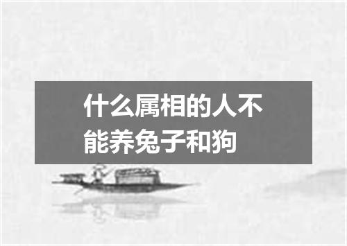 什么属相的人不能养兔子和狗