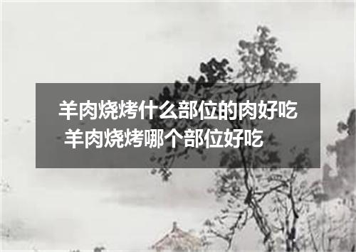 羊肉烧烤什么部位的肉好吃 羊肉烧烤哪个部位好吃