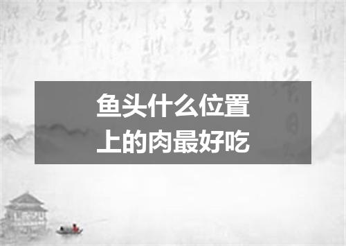 鱼头什么位置上的肉最好吃