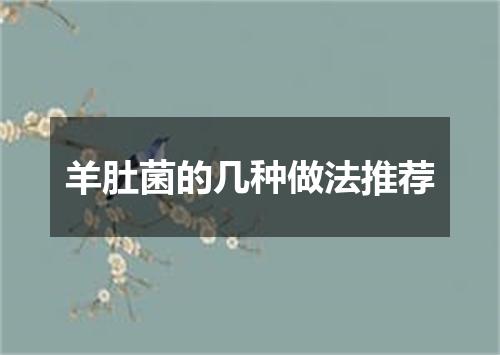 羊肚菌的几种做法推荐