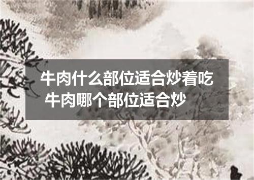 牛肉什么部位适合炒着吃 牛肉哪个部位适合炒
