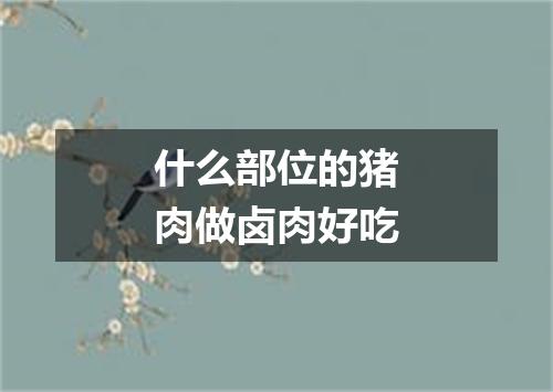 什么部位的猪肉做卤肉好吃