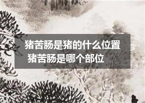 猪苦肠是猪的什么位置 猪苦肠是哪个部位