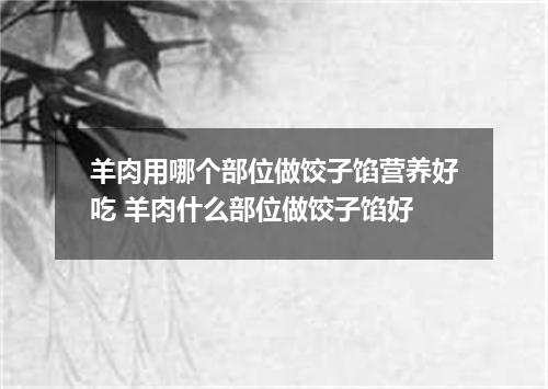 羊肉用哪个部位做饺子馅营养好吃 羊肉什么部位做饺子馅好