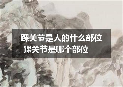 踝关节是人的什么部位 踝关节是哪个部位