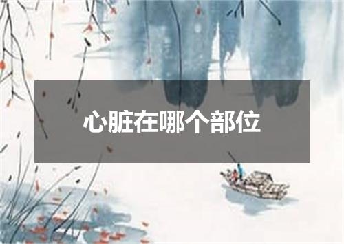 心脏在哪个部位