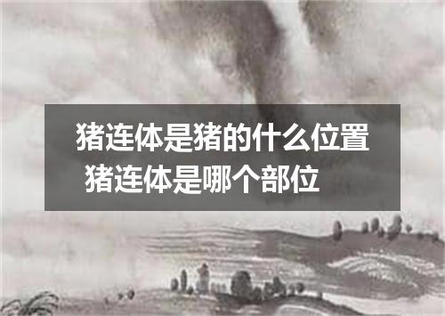 猪连体是猪的什么位置 猪连体是哪个部位