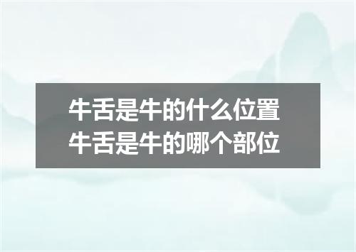 牛舌是牛的什么位置 牛舌是牛的哪个部位