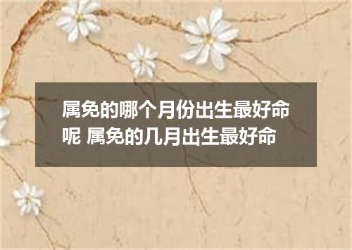 属免的哪个月份出生最好命呢 属免的几月出生最好命