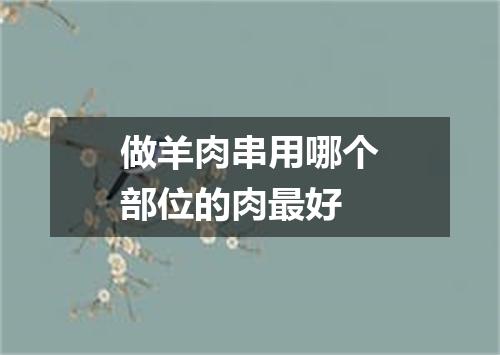 做羊肉串用哪个部位的肉最好