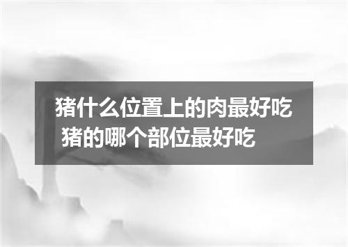 猪什么位置上的肉最好吃 猪的哪个部位最好吃