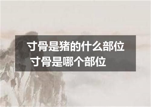 寸骨是猪的什么部位 寸骨是哪个部位