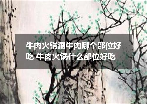 牛肉火锅涮牛肉哪个部位好吃 牛肉火锅什么部位好吃