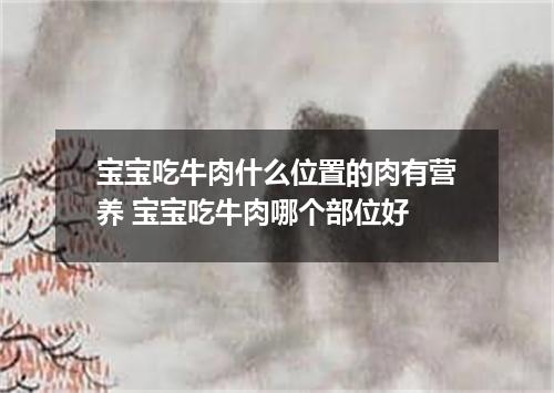 宝宝吃牛肉什么位置的肉有营养 宝宝吃牛肉哪个部位好