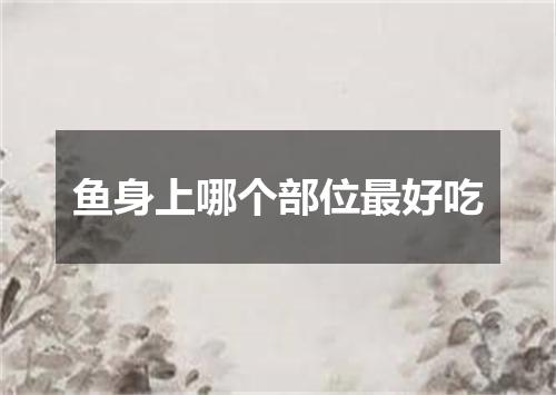 鱼身上哪个部位最好吃
