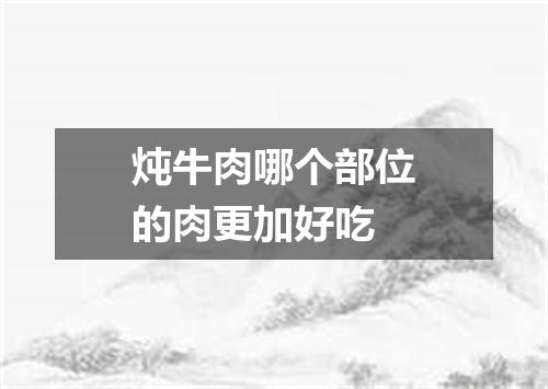 炖牛肉哪个部位的肉更加好吃