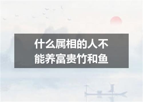 什么属相的人不能养富贵竹和鱼