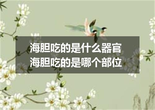 海胆吃的是什么器官 海胆吃的是哪个部位