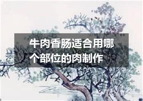 牛肉香肠适合用哪个部位的肉制作