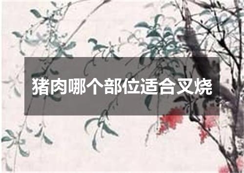 猪肉哪个部位适合叉烧
