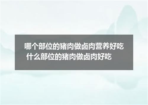 哪个部位的猪肉做卤肉营养好吃 什么部位的猪肉做卤肉好吃