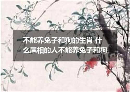 不能养兔子和狗的生肖 什么属相的人不能养兔子和狗