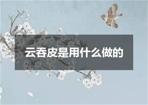 云吞皮是用什么做的