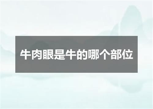 牛肉眼是牛的哪个部位
