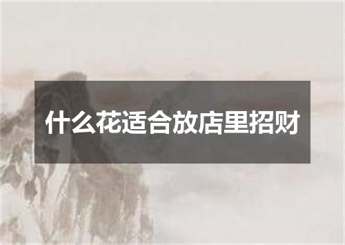 什么花适合放店里招财