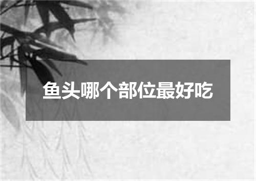 鱼头哪个部位最好吃