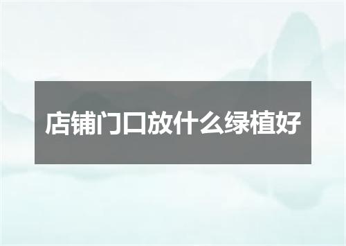 店铺门口放什么绿植好