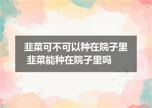 韭菜可不可以种在院子里 韭菜能种在院子里吗