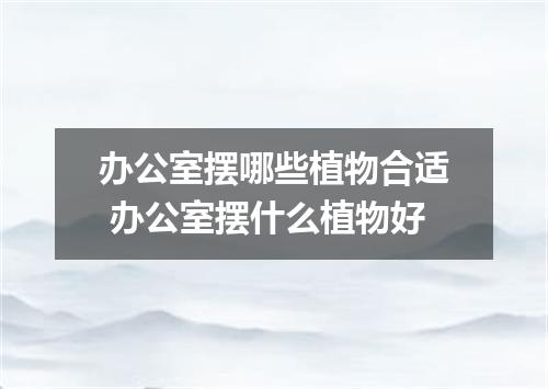 办公室摆哪些植物合适 办公室摆什么植物好