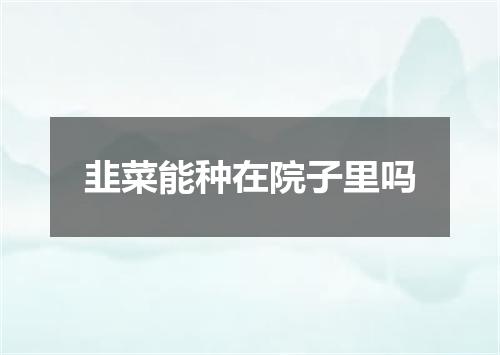 韭菜能种在院子里吗